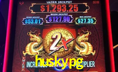 A Experiência Imersiva dos Cassinos Ao Vivo no huskypg